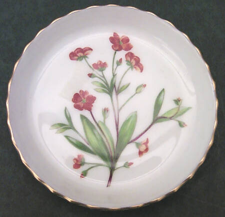 Meadow Scalloped Coaster