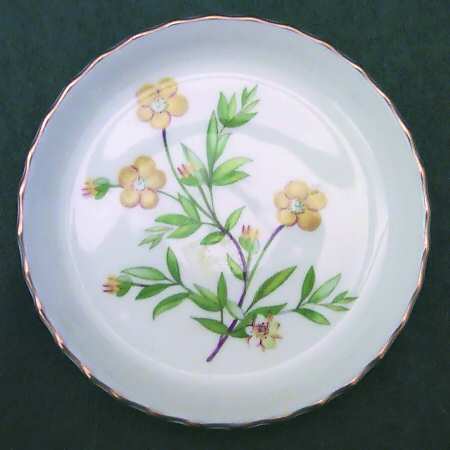 Meadow Scalloped Coaster