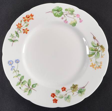 Meadow Scalloped Dinner Plate