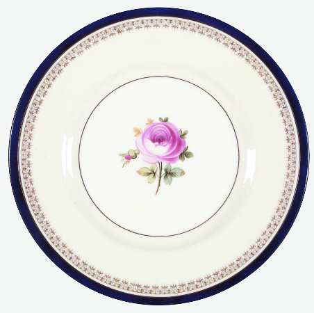 Portland Rose