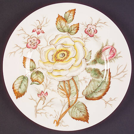 Old Rose Salad Plate by John Maddock & Sons