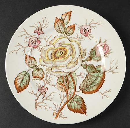 Old Rose Luncheon Plate by John Maddock & Sons