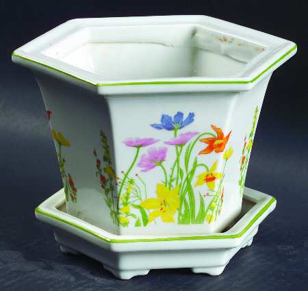 Day Lily 4" Flower Pot with Underplate