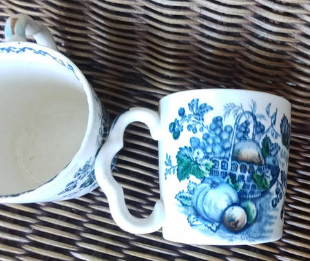 Fruit Basket Blue Multicolor Mug