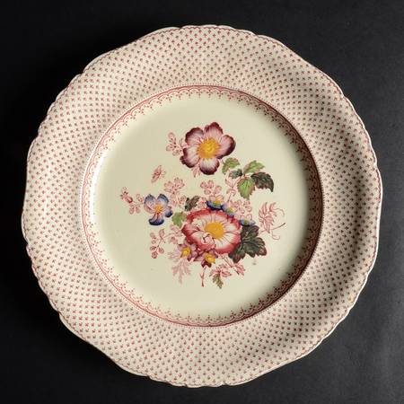 Paynsley Pink Dinner Plate