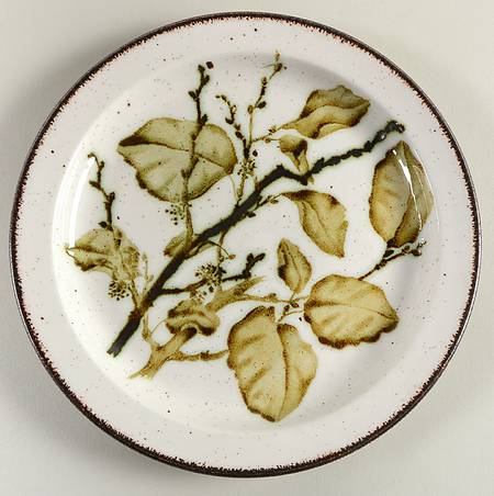 Green Leaves Salad Plate