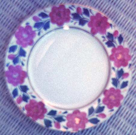 Painted Floral by W R Midwinter Ltd