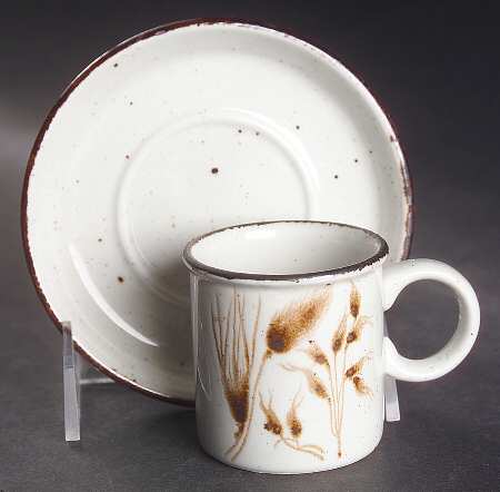 Wild Oats Stonehenge Flat Demitasse Cup & Saucer Set