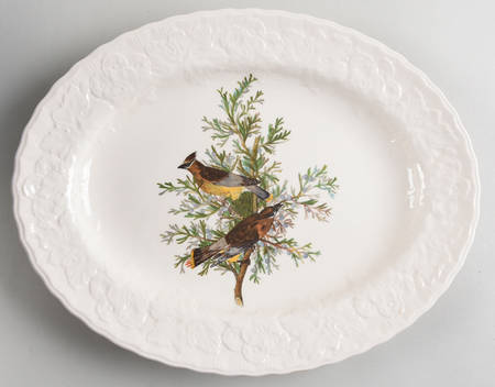 Birds of America (Embossed Floral Rim) 12" Oval Serving Platter