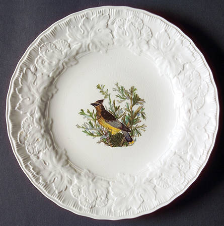 Birds of America (Embossed Floral Rim) Salad Plate