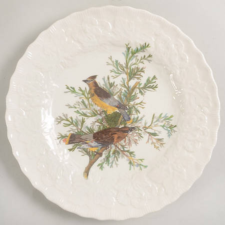 Birds of America (Embossed Floral Rim) Luncheon Plate
