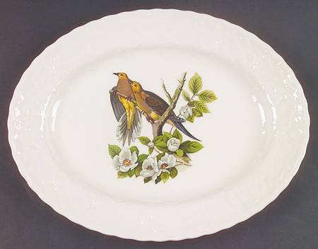 Birds of America (Embossed Floral Rim) 12" Oval Serving Platter