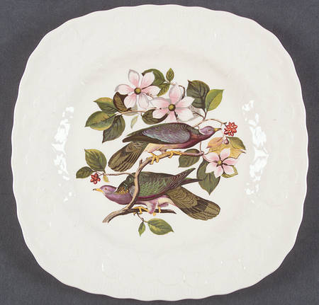 Birds of America (Embossed Floral Rim) Square Luncheon Plate