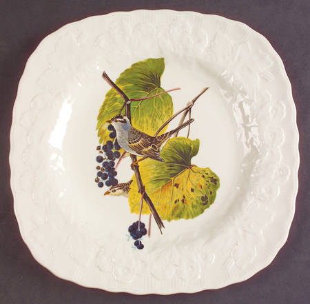Birds of America (Embossed Floral Rim) Square Luncheon Plate