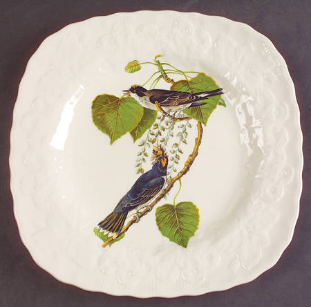 Birds of America (Embossed Floral Rim) Square Luncheon Plate