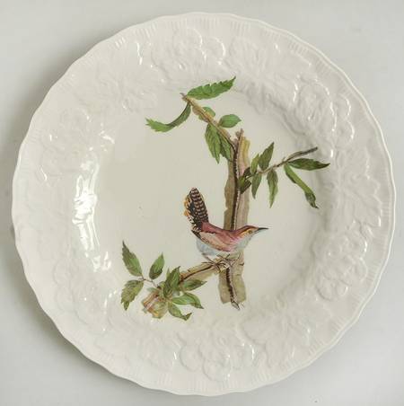 Birds of America (Embossed Floral Rim) Luncheon Plate