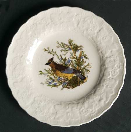 Birds of America (Embossed Floral Rim) Bread & Butter Plate