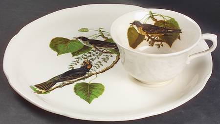 Birds of America (Embossed Floral Rim) Snack Plate & Regular Flat Cup