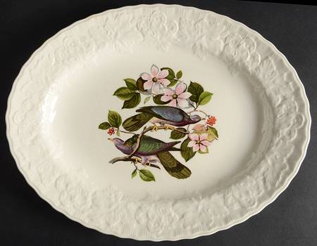 Birds of America (Embossed Floral Rim) 12" Oval Serving Platter