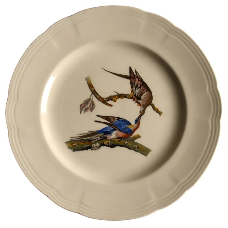 Birds of America (Embossed Ring Rim) Luncheon Plate