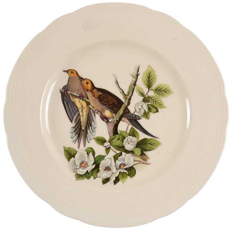 Birds of America (Embossed Ring Rim) Luncheon Plate