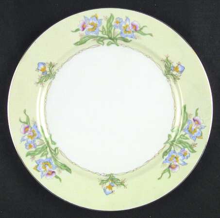 Dinner Plate