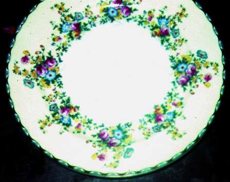 MEI4 Dinner Plate