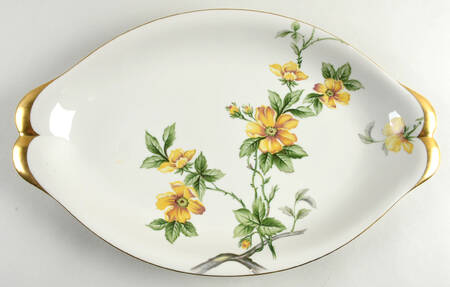 Sun Glory 18" Oval Serving Platter by Meito