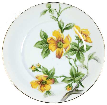 Sun Glory Salad Plate