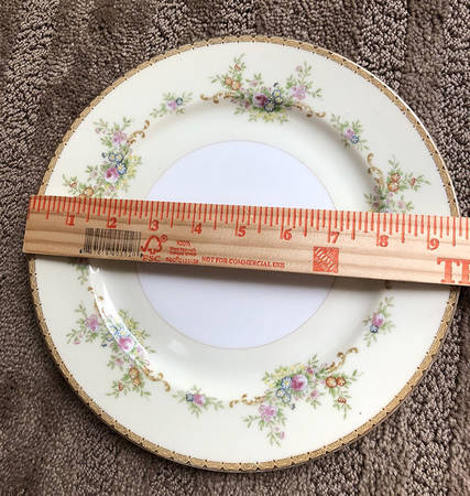 V1667  Luncheon Plate