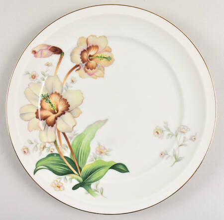 Wildwood (1-2" Rim, Ivory) Dinner Plate
