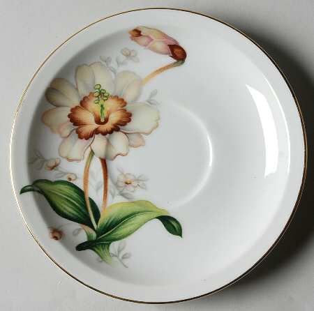 Wildwood (1-2" Rim, Ivory) Saucer