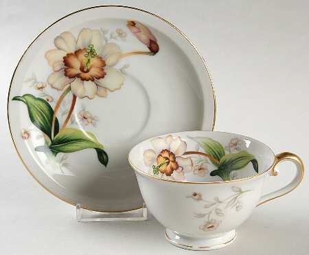 Wildwood (1-2" Rim, Ivory) Footed Cup & Saucer Set