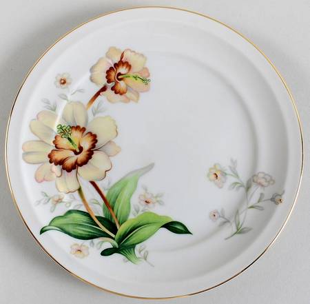 Wildwood (1-2" Rim, Ivory) Salad Plate