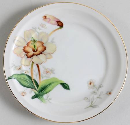 Wildwood (1-2" Rim, Ivory) Bread & Butter Plate