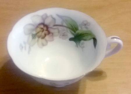 Wildwood (1-2" Rim, Ivory) Snack Cup