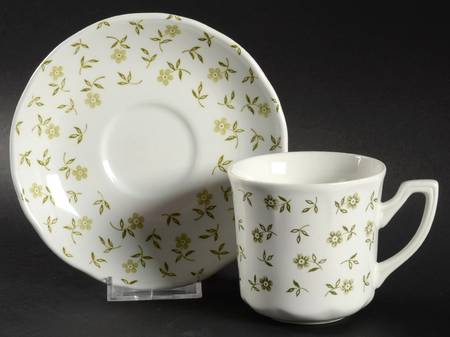 Blossom Time Green Flat Cup & Saucer Set