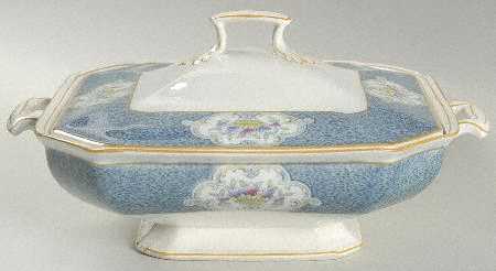Newark (Blue On White) Square Covered Vegetable