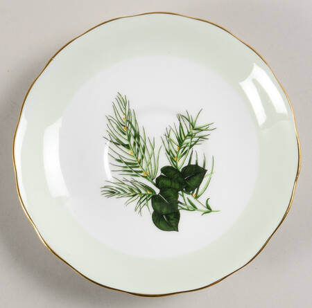 Sherwood Saucer