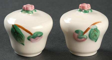 Camellia (Brown Trim) Salt & Pepper Set