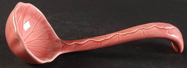 Lotus Rose Tureen Ladle