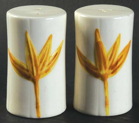 Rattan Salt & Pepper Set