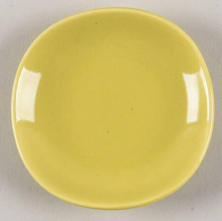 Shoreline Chartreuse Coaster