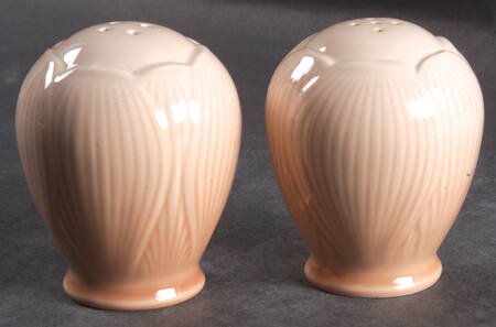 Amaryllis Salt & Pepper Set
