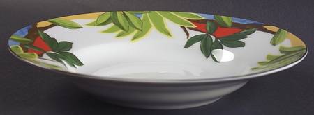 Amazon Large Rim Soup Bowl