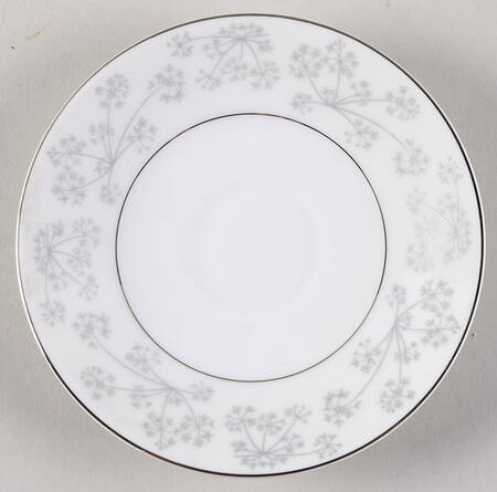 Ashby Saucer