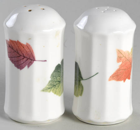 Autumn Revue Salt & Pepper Set