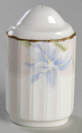 Ballantyne Salt Shaker