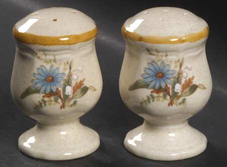 Blue Daisies Salt & Pepper Set by Mikasa