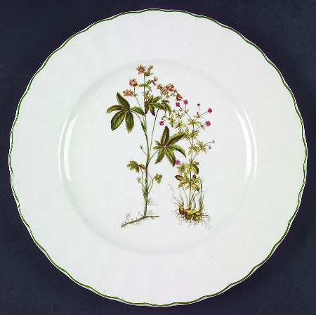 Botany Salad Plate